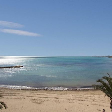 Homely Apartments Noruega Torrevieja Exterior foto